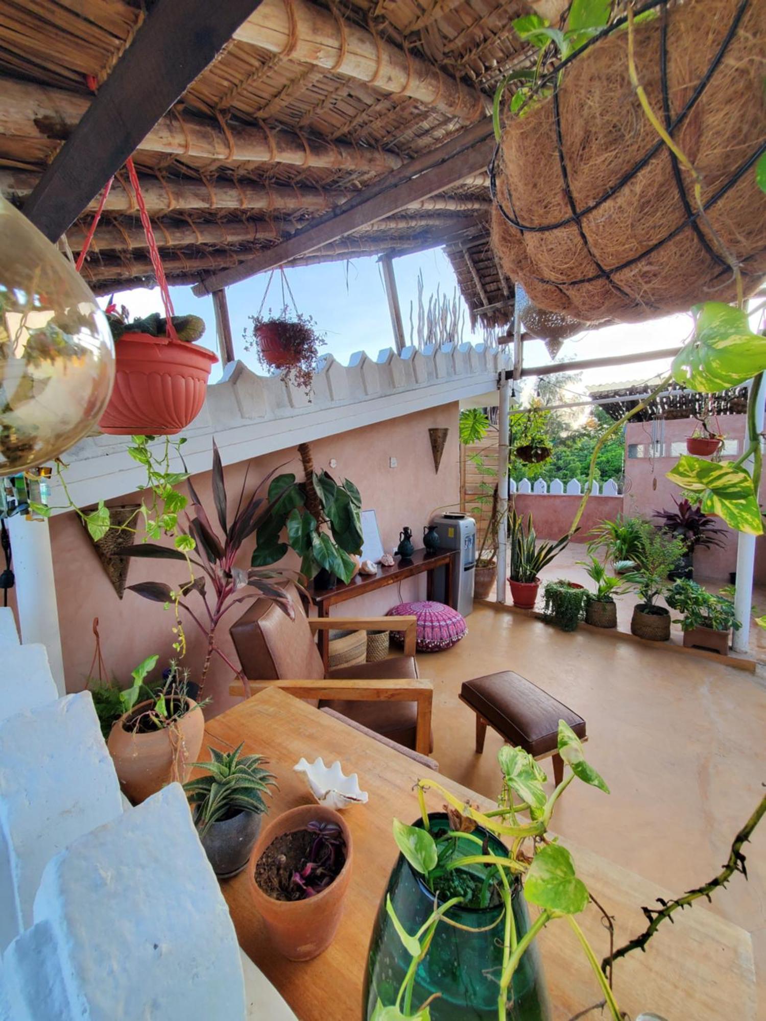 Tulia House Backpackers Vandrehjem Mombasa Eksteriør billede